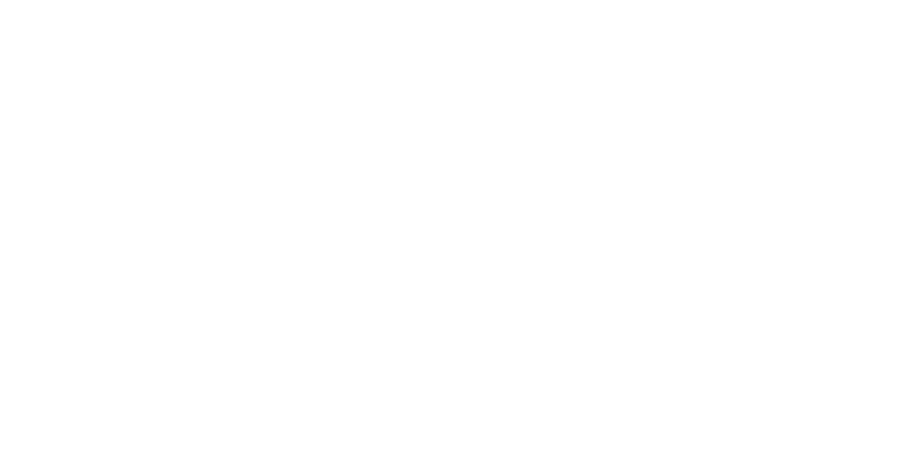 MEGADATA ISP Logo